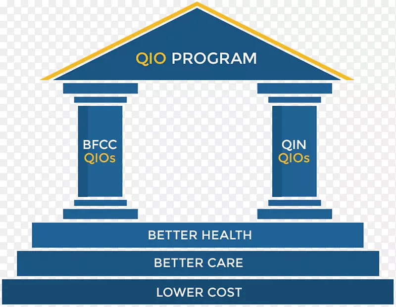 医疗保险建设图例中的接线图质量改进组织-成功的四大支柱