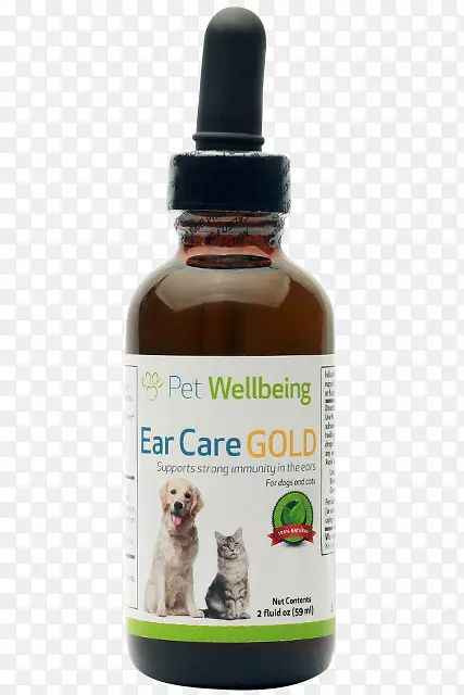 猫抚慰宠物对狗的焦虑和压力-自然人体温度