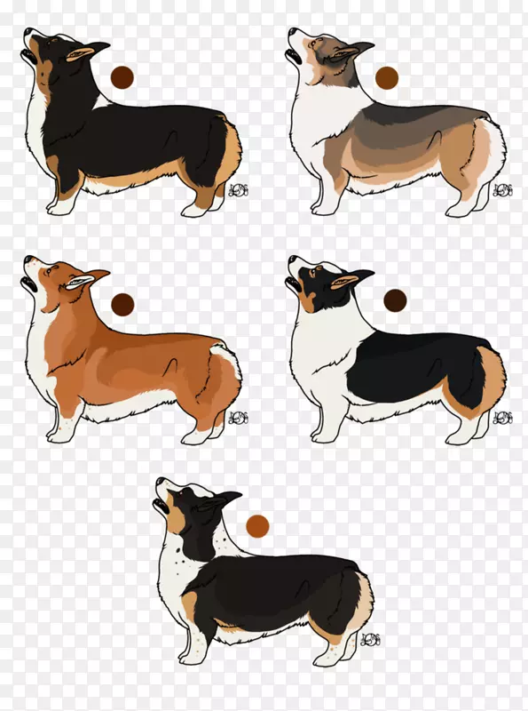 狗品种插图卡通-柯基哈士奇混合