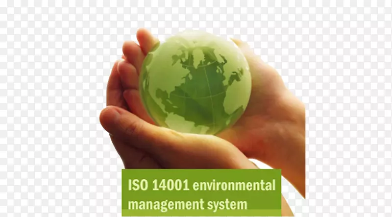 自然环境企业社会责任标准评估有限责任公司组织-自然环境