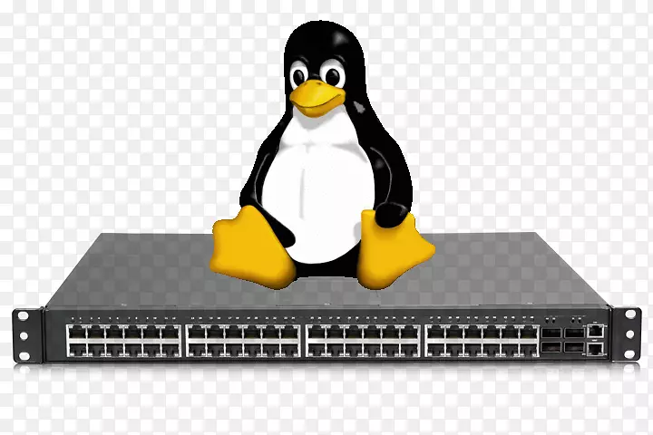 linux计算机网络开放源码软件开源模型操作系统linux