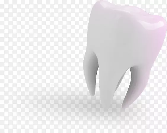 人类牙齿产品设计-雄鹿齿