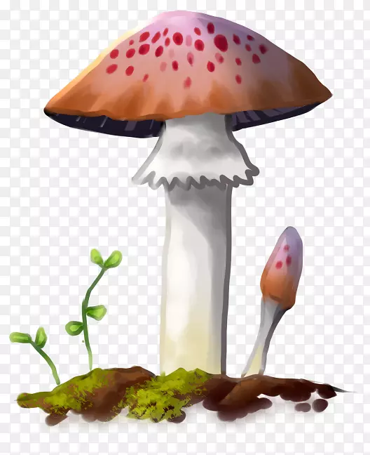 蘑菇泥