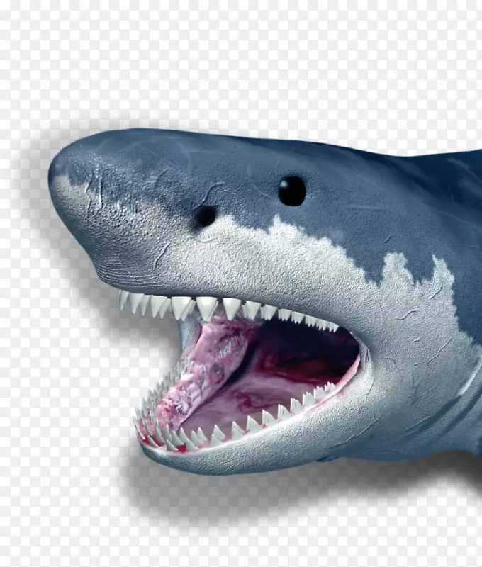发信人：魏瑟海-大白鲨，蓝鲨鳍-哥特式区巴塞罗那