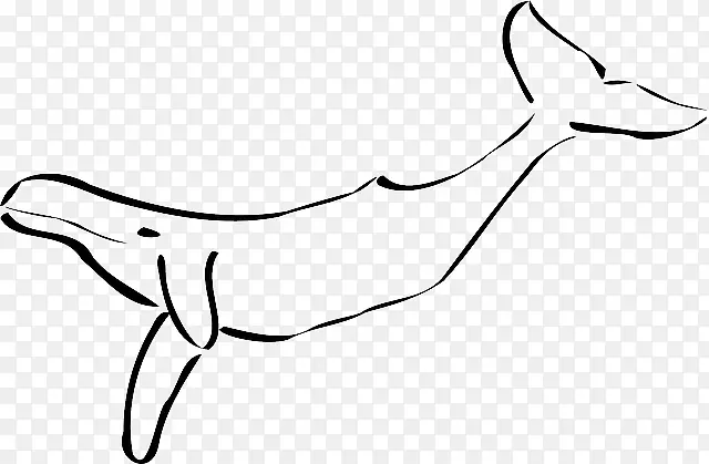 剪贴画鲸目座头鲸形象-虎鲸尾巴