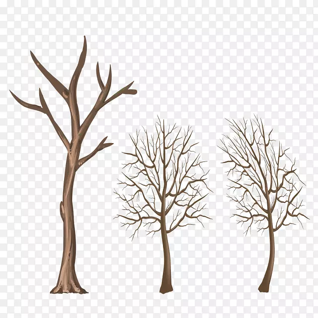 树枝-冬季元素