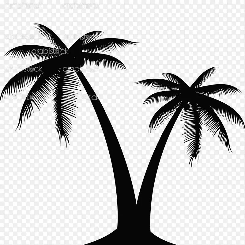 椰子图形剪辑艺术png图片棕榈树椰子
