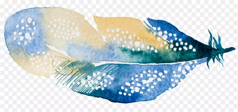 海洋生物鱼-羽毛轻触