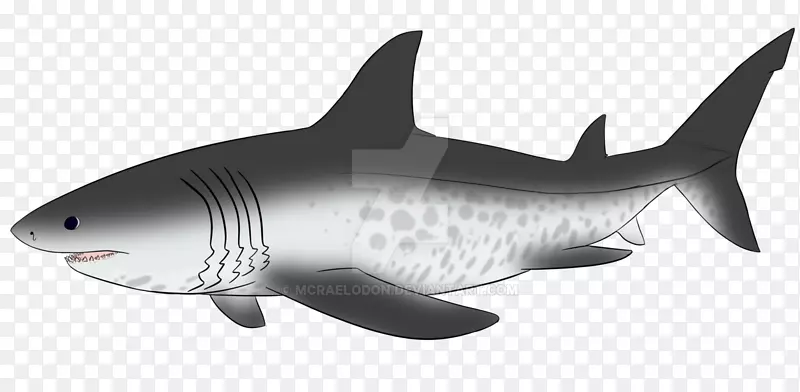 虎鲨巨龙画图片-鲨鱼