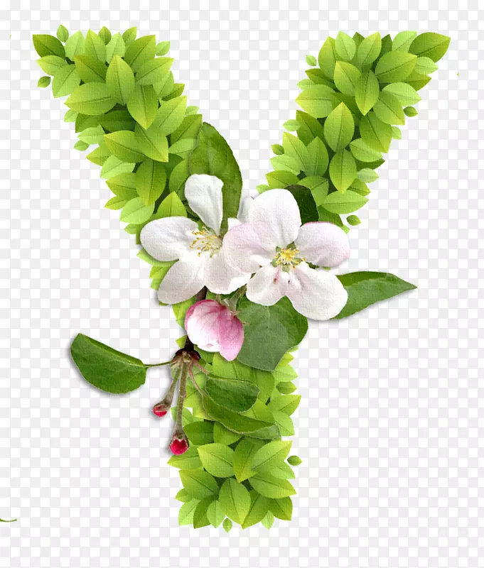 花卉设计字母英文字母表花花