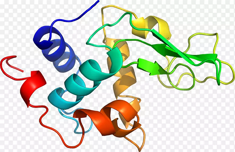 整体膜蛋白细胞膜生物膜脂双层-骆驼样抗体