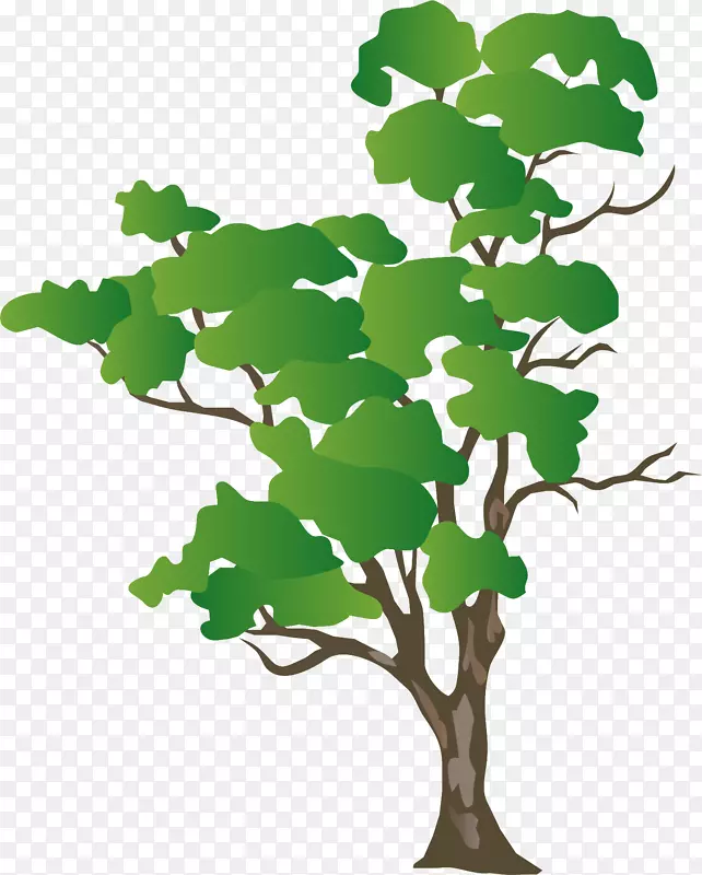 桉树绘制图形树图像树
