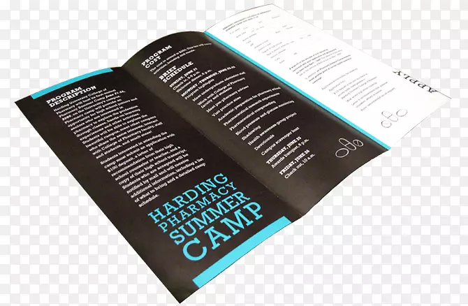 品牌产品设计字体-夏令营手册
