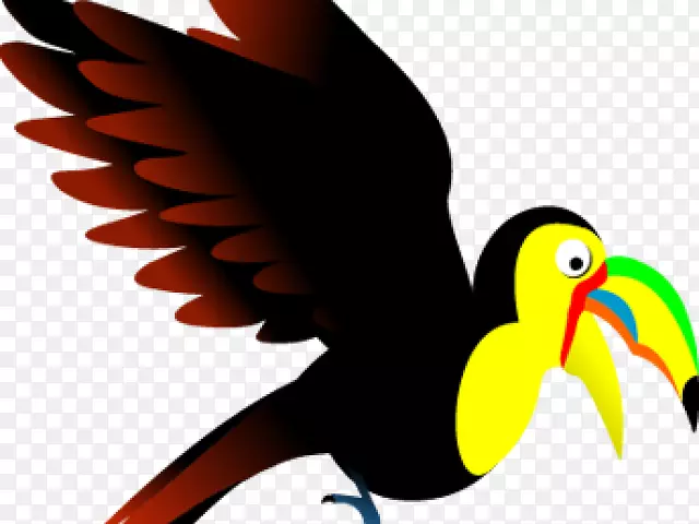 旅游剪贴画免费内容-波多黎各亚马逊鹦鹉