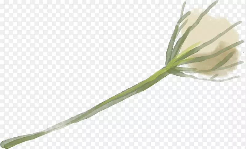治疗阿维戈研究所有限责任公司花卉愈合植物茎-难以置信的天赋