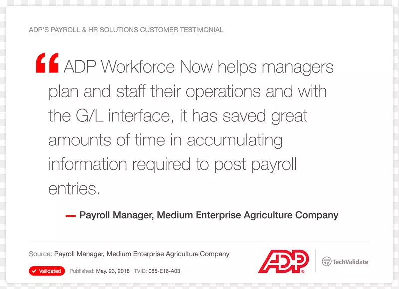 文件行字体品牌ADP，LLC-ADP薪资日记账输入示例