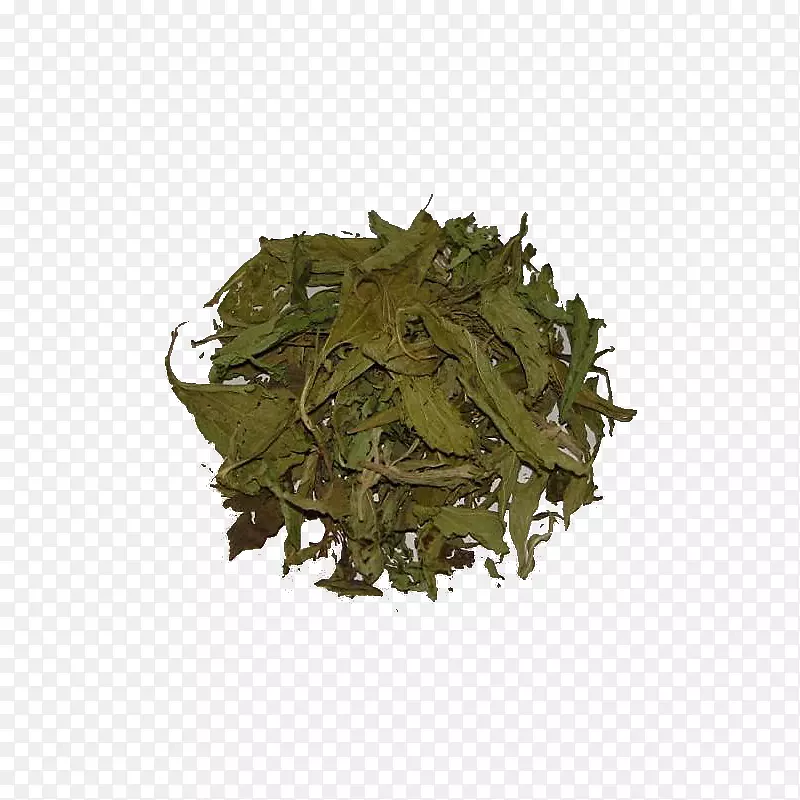 绿茶甜菊茶