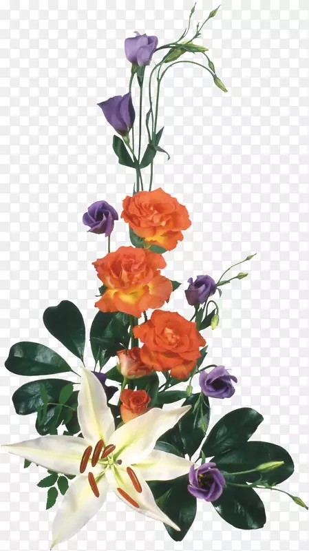 花卉设计png图片花束剪贴画.花