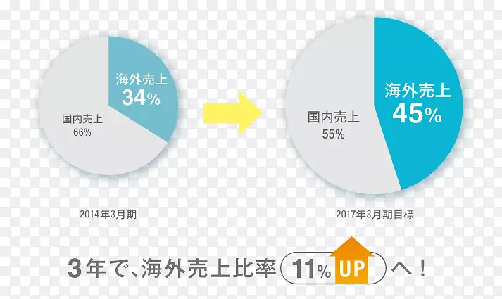 标志品牌组织产品设计-视觉保险