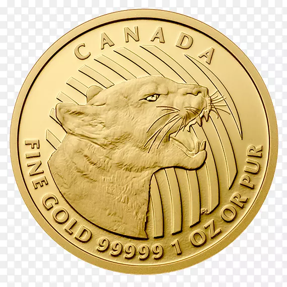金币，克鲁格，金币-世界展望加拿大