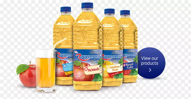塑料瓶风味，鲍勃·霍姆斯，乔纳森·严(旁白)(9781515966647)食品-果汁公司