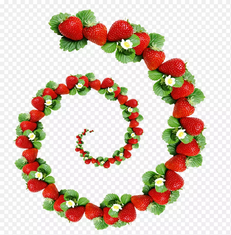 草莓形螺旋移动式网络图.形状
