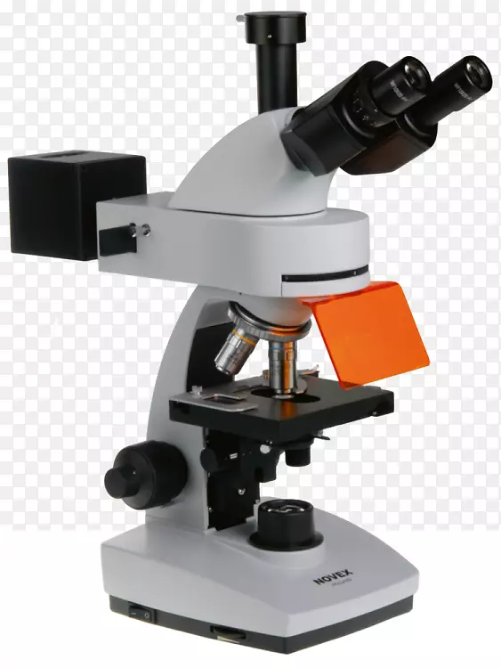 荧光显微镜目镜显微镜荧光显微镜