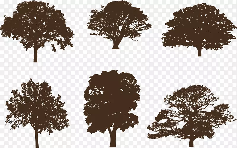 橡木剪影剪贴画图形树-剪影