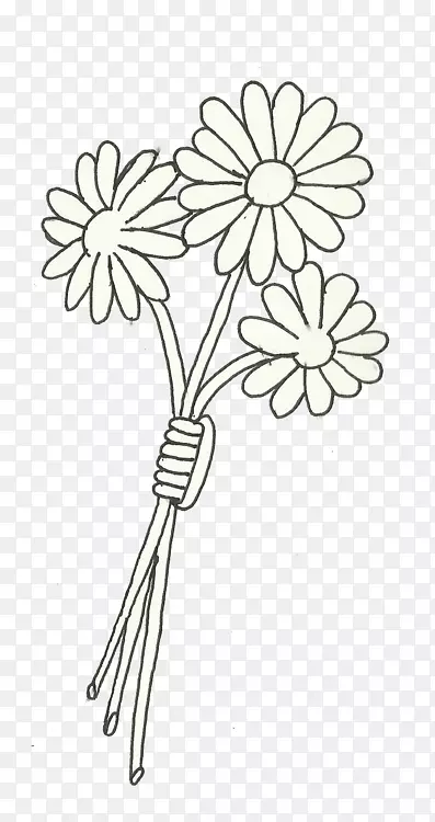 花卉设计切花视觉艺术黑白雏菊花纹