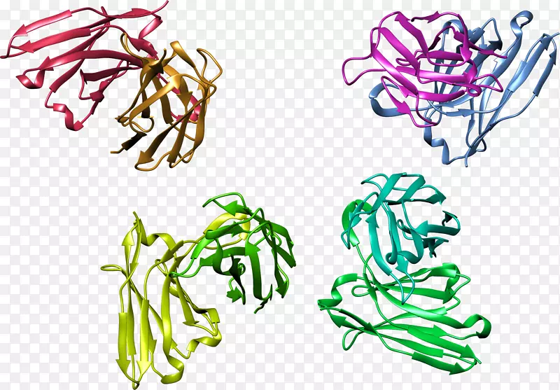 剪贴画插图图形设计树-hpv病毒粒子