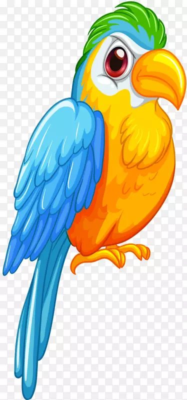 亚马逊鹦鹉图形免费鹦鹉