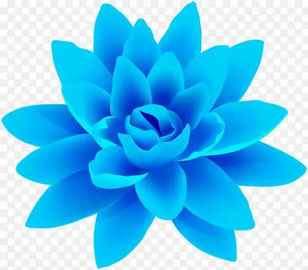 蓝花夹艺术png图片图像.蓝花盆景
