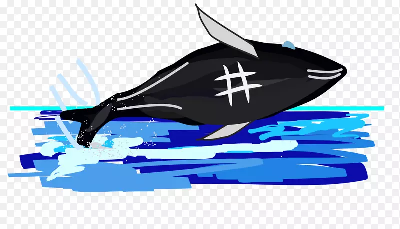 海豚座头鲸飞机-海豚
