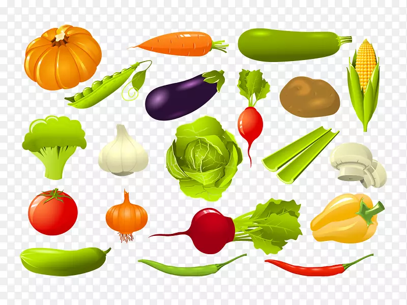 素食烹饪图形蔬菜剪贴画插图-蔬菜