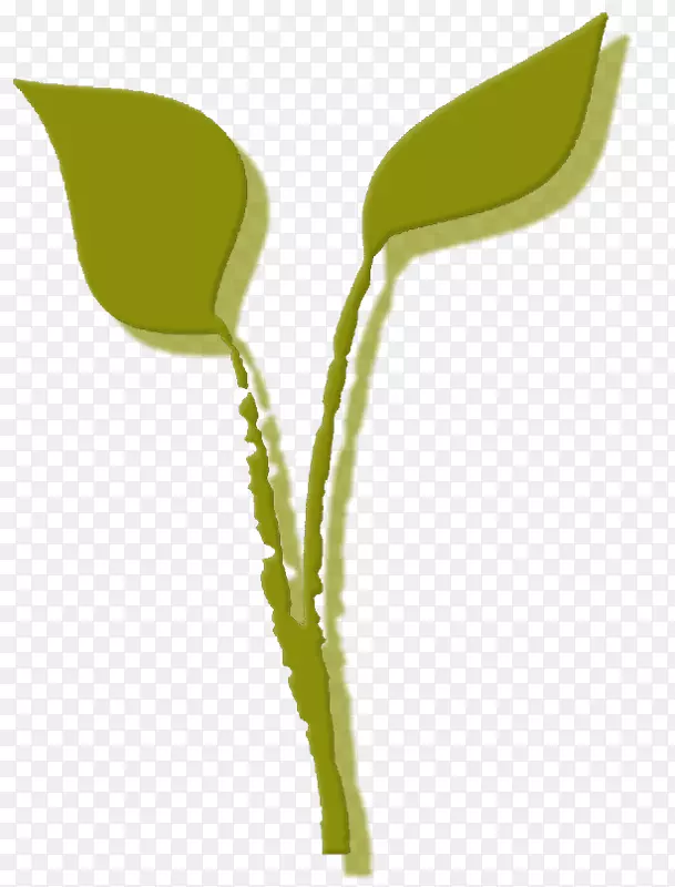 叶植物茎花产品设计图形-饮食设置小