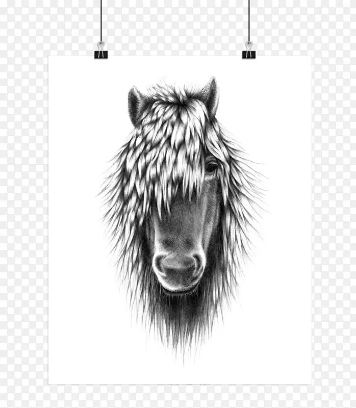 马插图画海报形象-马