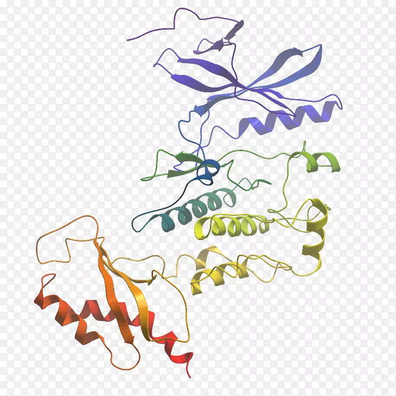插图剪辑艺术平面设计WNK赖氨酸缺乏蛋白激酶3