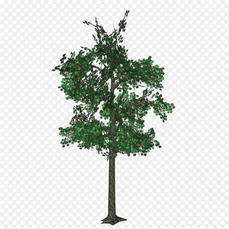 英国橡木世界动物园人工树叶在盆景中的柯蒂尼树(Quercus cerris-tree)