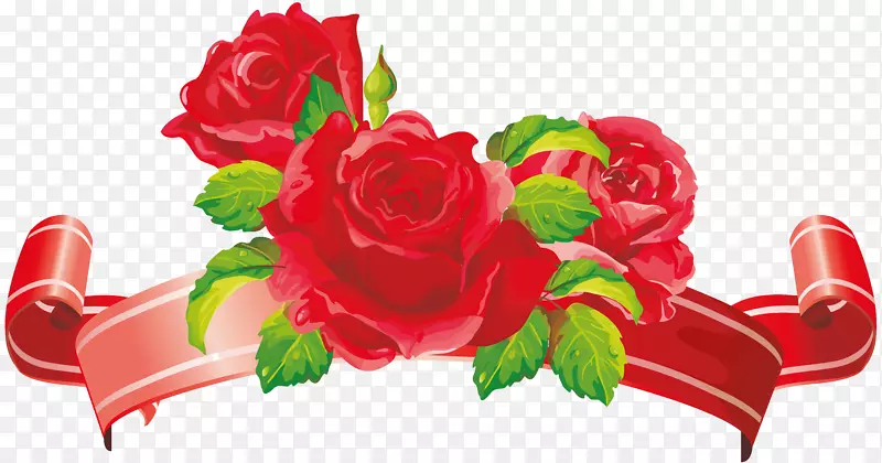 花园玫瑰，剪贴画，鲜花婚礼，png图片.花