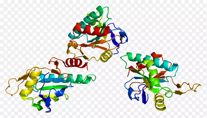 细胞色素c氧化酶亚基II cox20SCO2