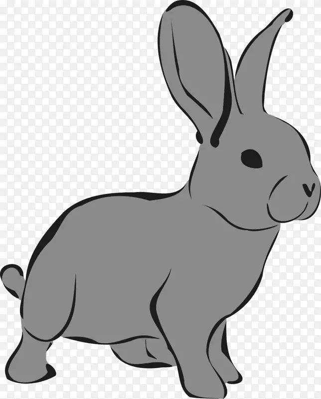 剪贴画欧洲兔子北极兔形象-兔子