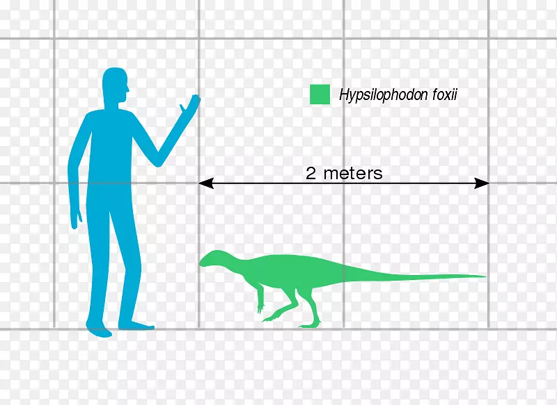 棱齿龙旋毛虫-恐龙-早期白垩纪恐龙