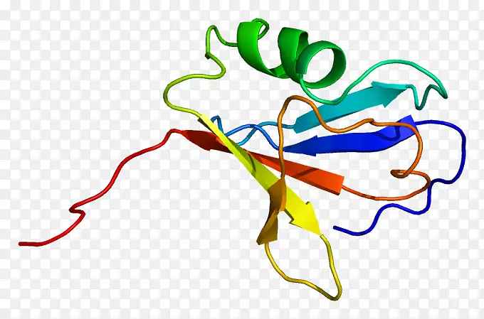 蛋白激酶丝氨酸
