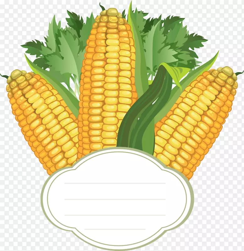 玉米上的玉米芯png图片图形甜玉米.玉米