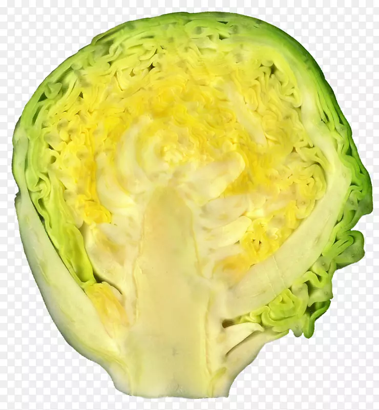 十字花科蔬菜，布鲁塞尔芽菜，卷心菜，素菜-卷心菜