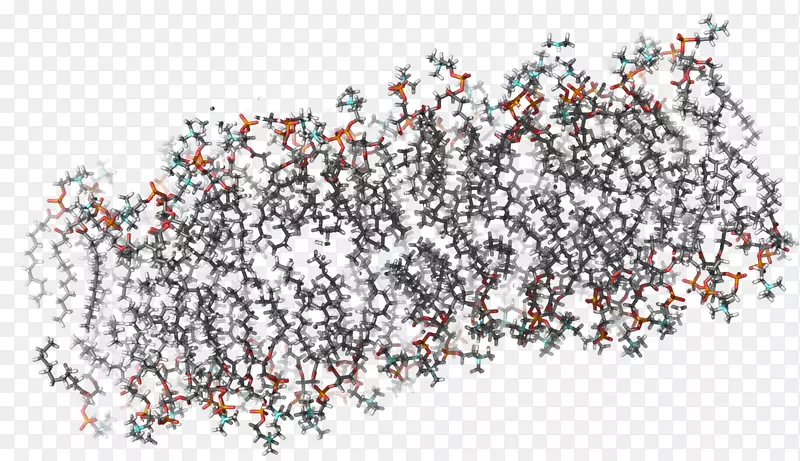 计算科学研究所布洛克大学-科学