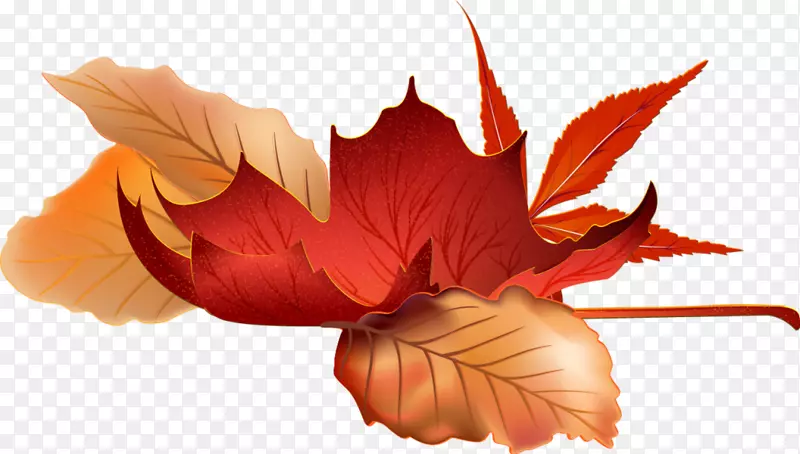 秋季图像季节图形设计-秋季