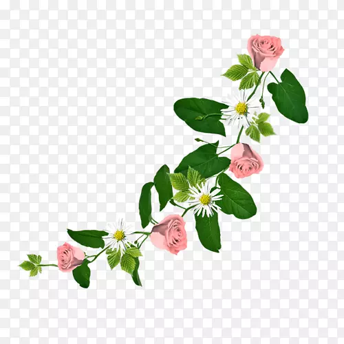 花卉绘制图像png图片花卉设计