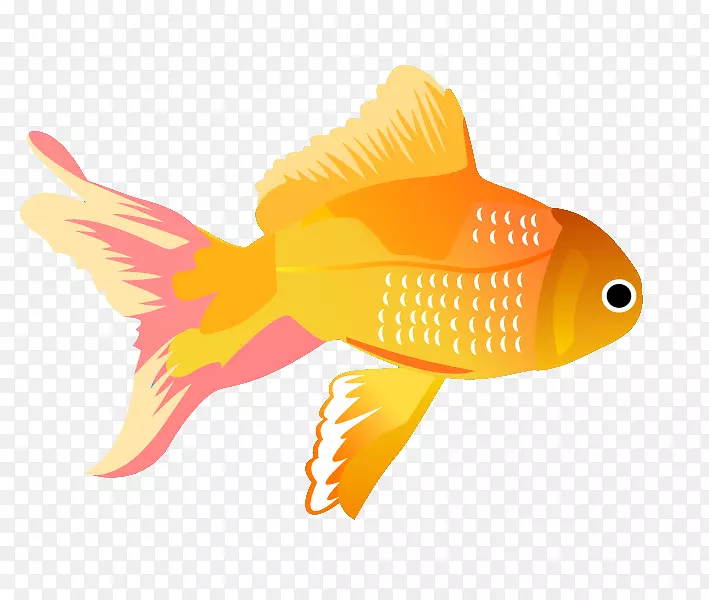 图形剪辑艺术鱼png图片插图.鱼