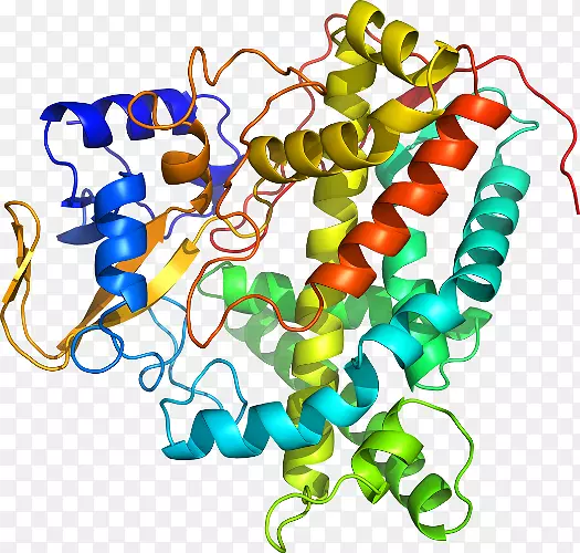 头孢菌素复合假单胞菌脂肪酶